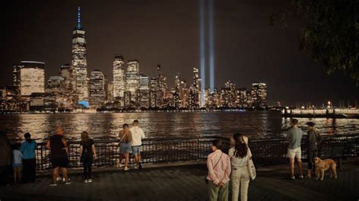 160,000 Birds Get Trapped In The 9/11 Memorial Lights Every Year