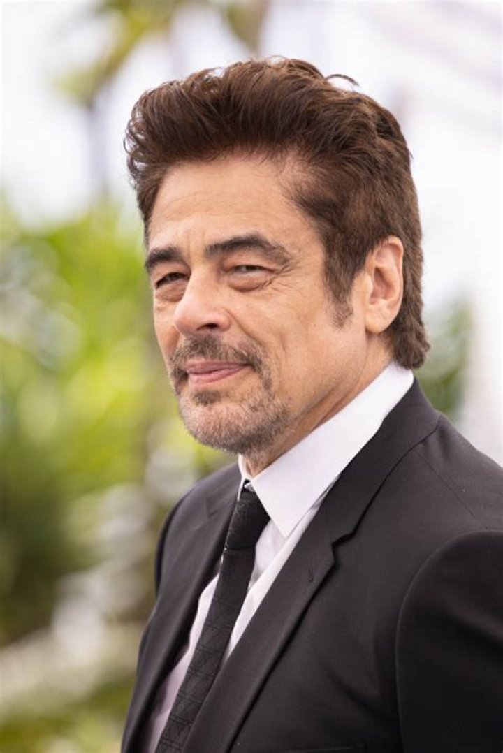 Benicio Del Toro – Celebsgraphy