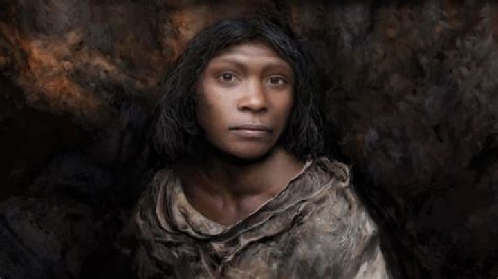 Cannibalized 'Boy Of Gran Dolina' Was A Girl, Study Finds