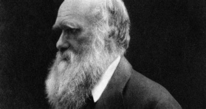 Charles Darwin Not Only Discovered Species, He Also Ate Them In A Glutton Club