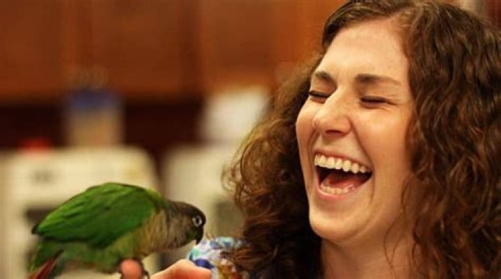 Dr. Lauren Thielen vet Wiki-bio, Age, husband, married life. Also, Net Worth and Salary. 2022