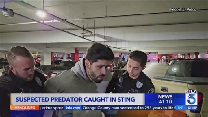 Florida Man Caught In Sting Operation Claims He 'Just Wanted To See It'