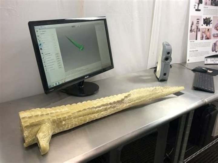 Mr. Stubbs The Alligator Receives Prosthetic 3D-Printed Tail