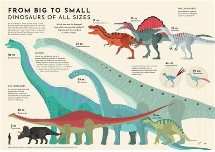 New 26,000 Pound Dinosaur Was Largest Land Animal Of Its Time