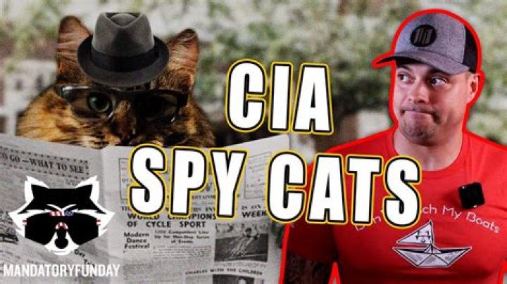 Remote Viewing, LSD & Spy Cats: The CIA's Strangest Projects