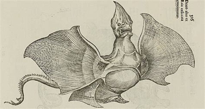 Scientific Drawings Of Mythical Creatures We Thought Were Real