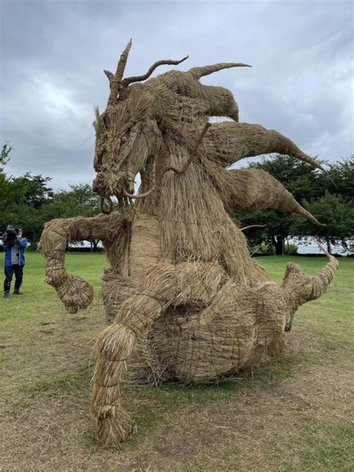 Straw Dinosaurs In A Rice Field? Only At Japan's Wara Art Festival