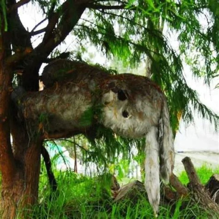 The 27 Weirdest Laws In The World That Have No Reason To Exist