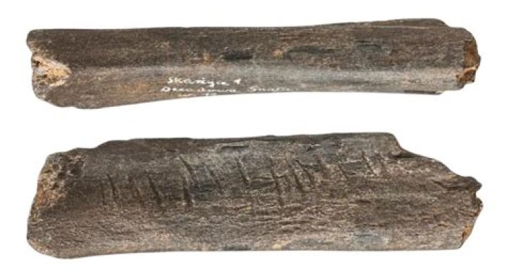 This Carved Bear Bone May Be Early Neanderthal Art