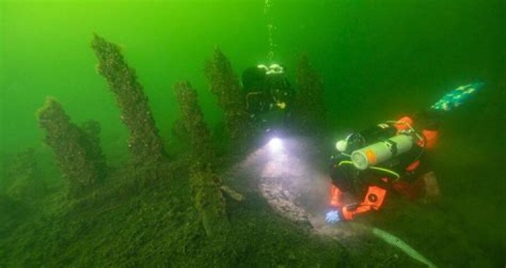 Trove Of Spices Recovered From 500-Year-Old Shipwreck